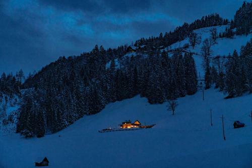 Apartamento Almchalet Linharterhof