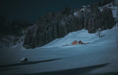 Apartamento Almchalet Linharterhof