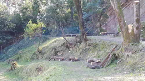 Hostal Villa Porto Sul Magra