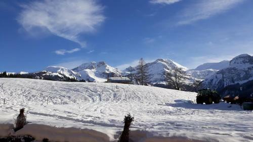 Snow+surf B&B