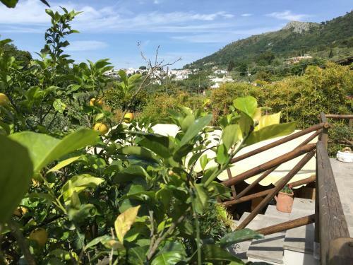 Hostal Relais Villa Anna