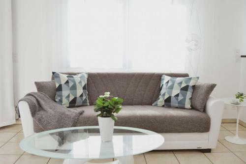 Central City Suite Apartment