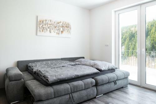 Apartm�n Imperial Doln� Morava
