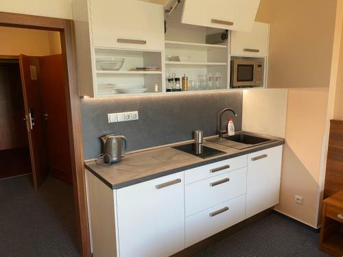 Apartm�ny Wellness Frymburk