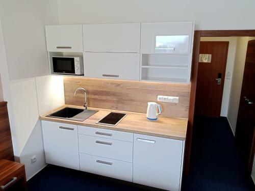 Apartm�n Wellness Hotel Frymburk