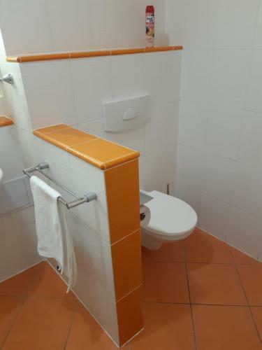 Apartm�n Wellness Hotel Frymburk