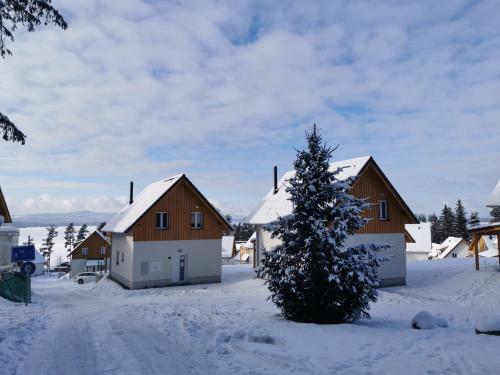 Lipno-lake