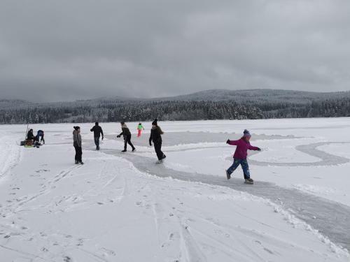 Lipno-lake