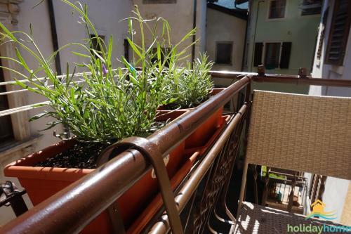 Apartment Cuore Di Arco