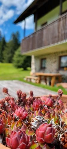 Hostal Pension Helena Honesov�