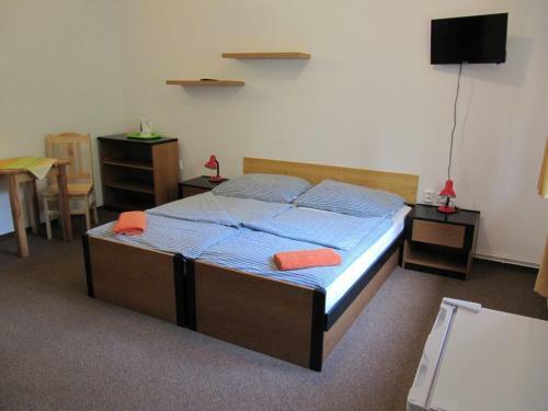 Hostal Penzion U Mol?