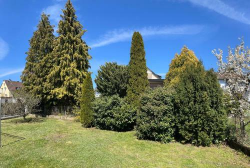Apartamento Gem�tliche Dachgeschosswohnung