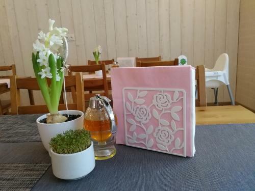 Hostal Penzion B�l� Voda