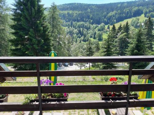 Penzion Union Harrachov