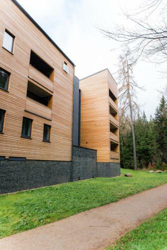 Apartment Mumlava Harrachov 5