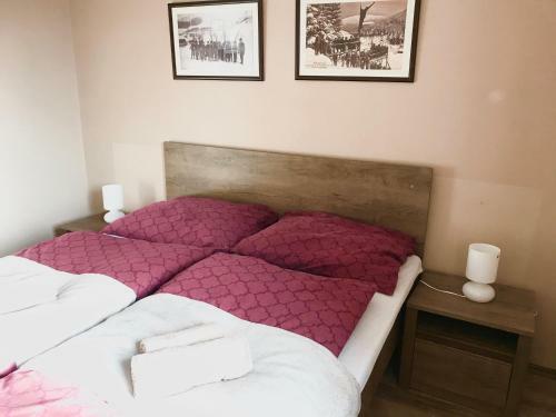 Aparthotel Apartm�ny Gryf Harrachov