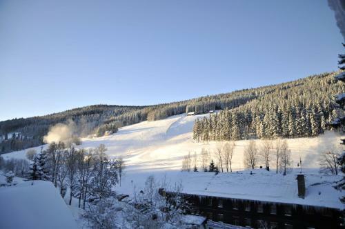 Aparthotel Apartm�ny Gryf Harrachov