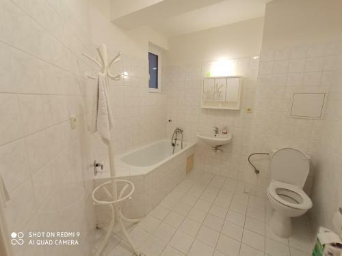 Apartm�n Violeta