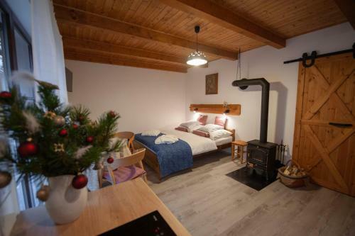 Apartamento Stodola Harrachov