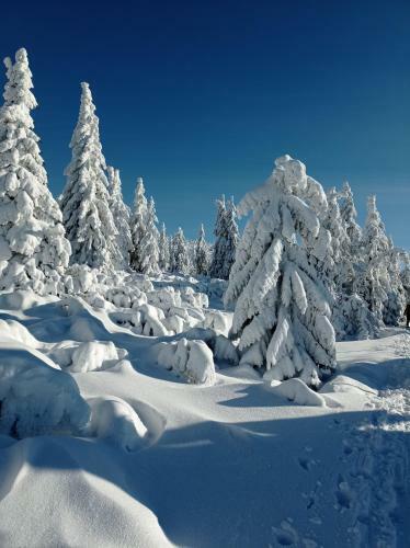 Apartamento Stodola Harrachov