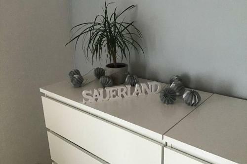 Apartamento Ferienwohnung Sauerland