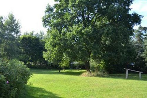 Apartamento Ferienhaus "alte Linde"