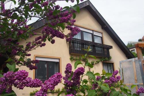 Apartamento Haus Sonneneck