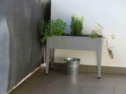 Apartamento Ferienwohnung Beim Burgberg