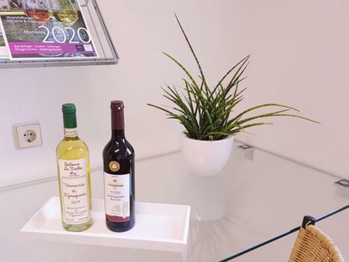 Apartamento Die Ferienwohnung
