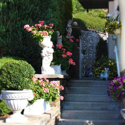 Apartamento Haus Sch�nblick