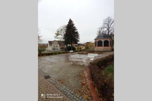 Apartment Am Kurpark