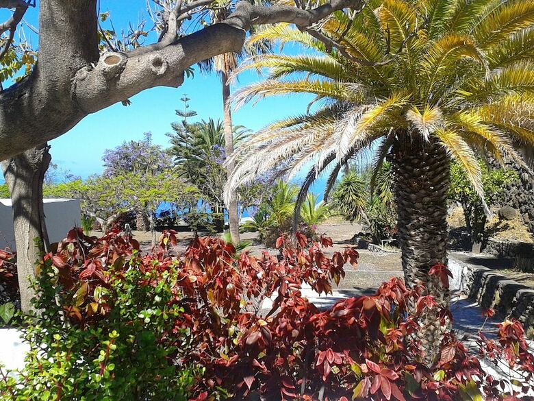 Apartamento La Palma Sun Nudist
