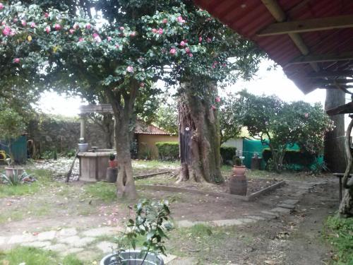 Albergue Roots & Boots