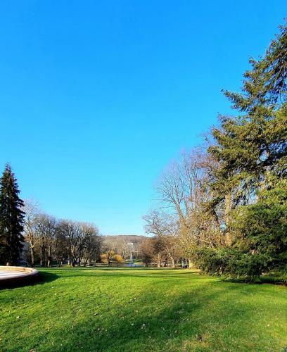 Privat Zimmer In Bad Homburg Bei Kurhaus
