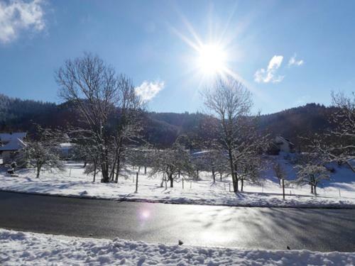 Posada Landgasthof Gr�ner Baum