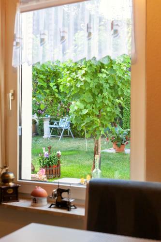 Apartamento Ferienwohnung Emmi
