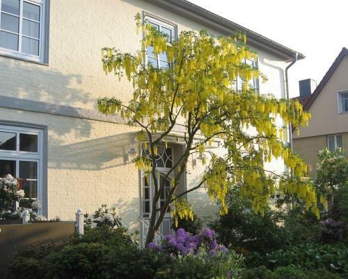 Apartamento Altes Schulhaus