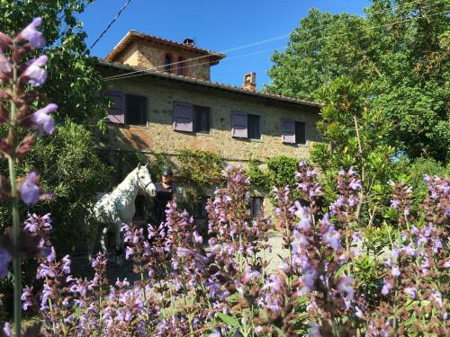 Farmhouse B&B Il Paretaio
