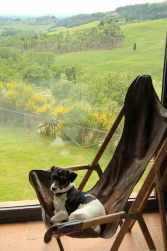 Farmhouse B&B Il Paretaio