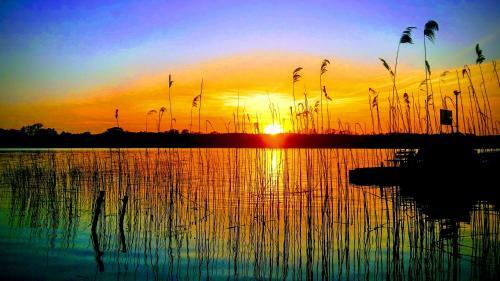 Apartamento Ferienwohnung Direkt Am See