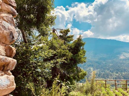 Agroturismo Maso La Vecchia Quercia