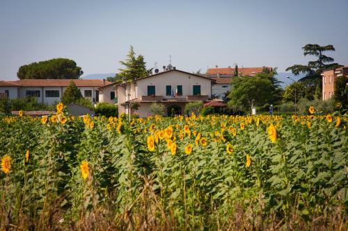 Bed & Breakfast P&p Assisi Camere