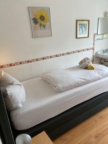 Hostal Hotel Und Pension Brunnenhof