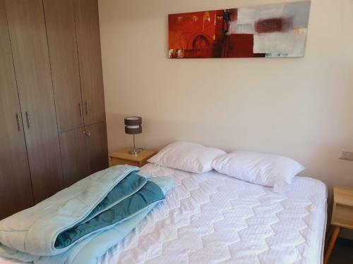 Apartamento Puc�n Andino