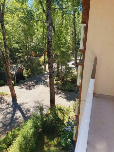 Apartamento Puc�n Andino