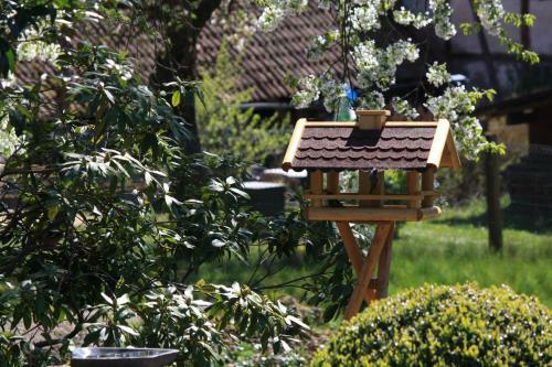 Apartamento Ferienwohnung Rothirsch