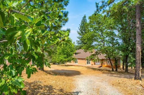 3bd/2.5ba Secluded Mountain House