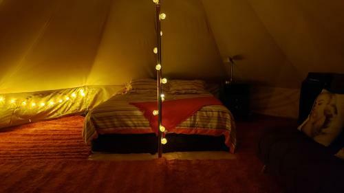 Glamping Magico, Merecido Descanso Libre Y Natural