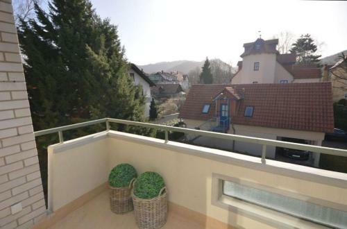 Apartamento Ferienwohnung Wiesengrund