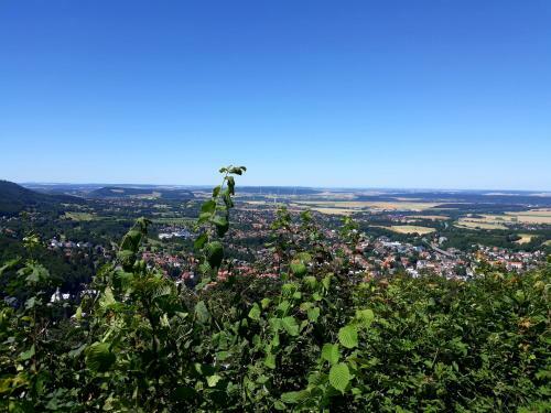 Apartamento Ferienwohnung Harzmonie